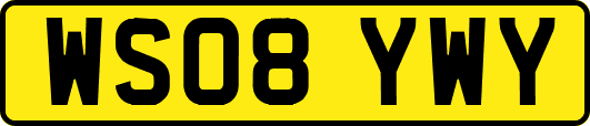 WS08YWY
