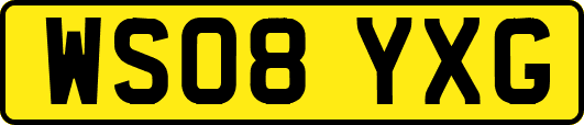 WS08YXG