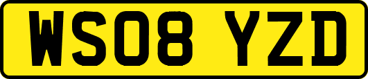 WS08YZD