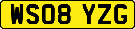 WS08YZG