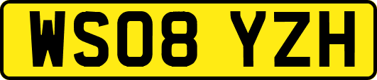 WS08YZH