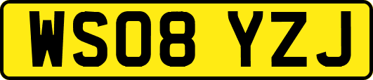 WS08YZJ