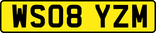 WS08YZM