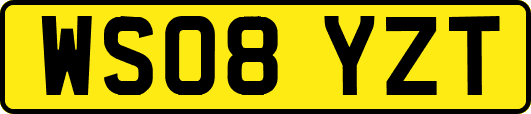 WS08YZT