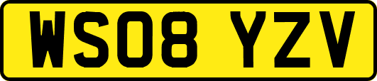 WS08YZV