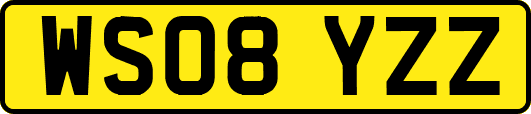 WS08YZZ
