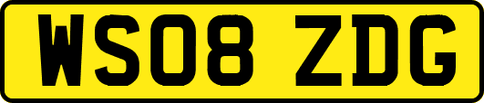 WS08ZDG