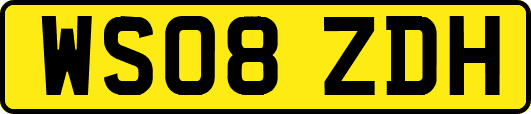 WS08ZDH