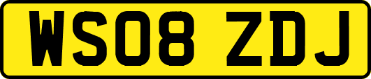 WS08ZDJ