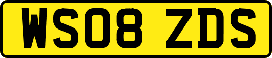 WS08ZDS