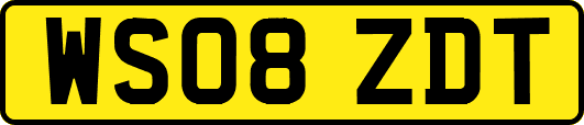 WS08ZDT