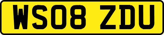 WS08ZDU