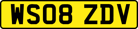 WS08ZDV