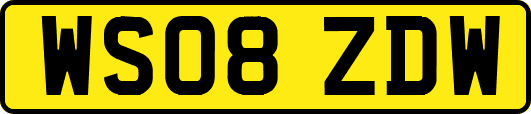 WS08ZDW