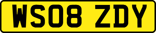 WS08ZDY
