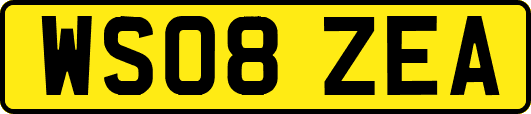 WS08ZEA