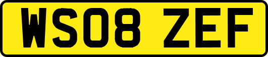WS08ZEF