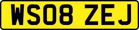 WS08ZEJ