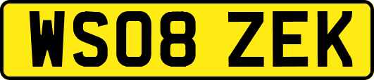 WS08ZEK