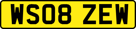 WS08ZEW