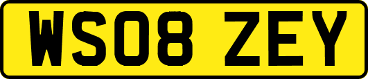 WS08ZEY