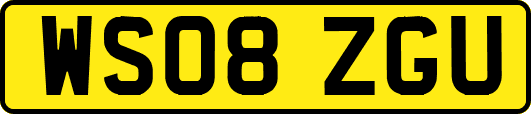 WS08ZGU