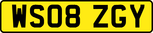 WS08ZGY