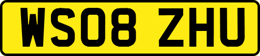 WS08ZHU
