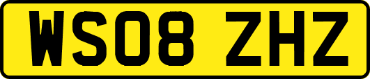 WS08ZHZ