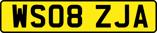 WS08ZJA