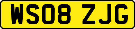 WS08ZJG