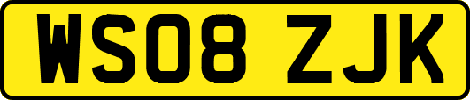 WS08ZJK