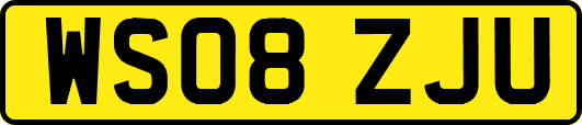 WS08ZJU