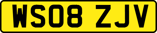 WS08ZJV