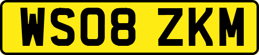 WS08ZKM