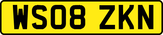 WS08ZKN