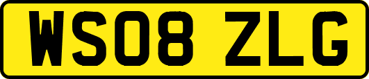 WS08ZLG