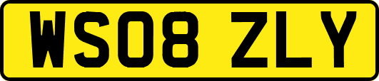 WS08ZLY