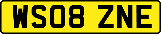 WS08ZNE
