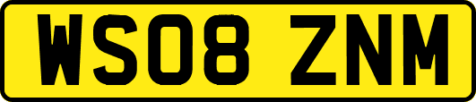 WS08ZNM