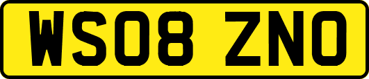 WS08ZNO