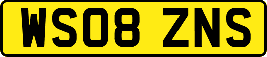 WS08ZNS