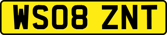WS08ZNT