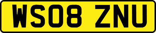 WS08ZNU