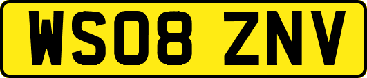 WS08ZNV
