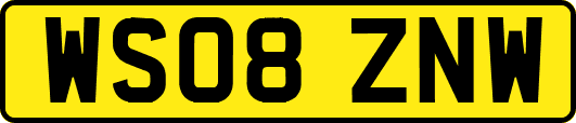 WS08ZNW