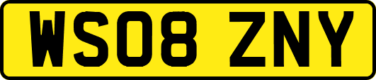 WS08ZNY
