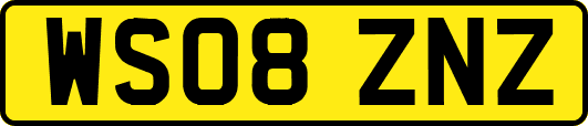 WS08ZNZ