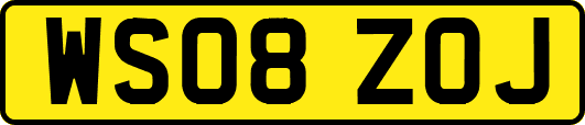 WS08ZOJ