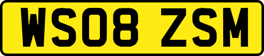 WS08ZSM